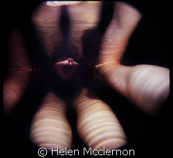 . by Helen Mcclernon 